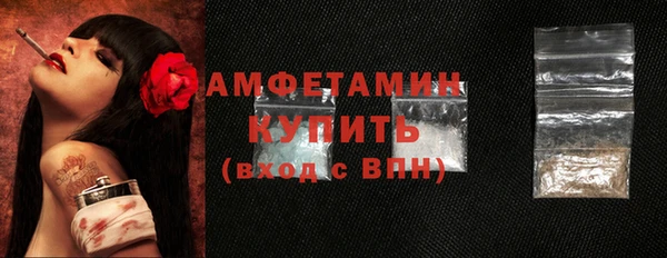 гидра Абаза