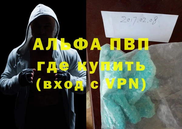 гидра Абаза