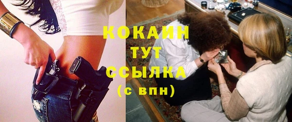 гидра Абаза